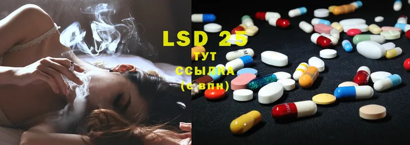 где можно купить   Кингисепп  Лсд 25 экстази ecstasy 